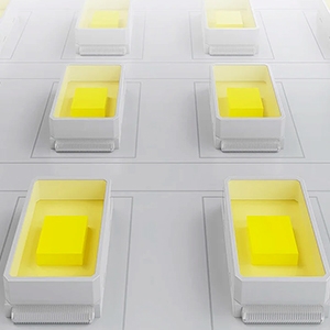 LED Lamp Beads LED lamp beads